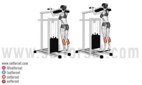 How Do You Perform A Standing Calf Raise Correctly? - SET FOR SET