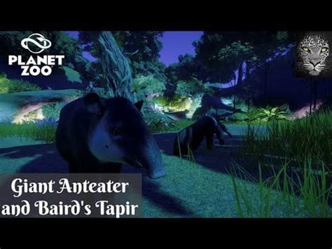 Giant Anteater and Baird's Tapir Habitat Video : PlanetZoo