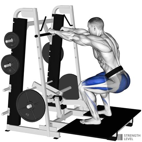 Belt Squat Standards for Men and Women (lb) - Strength Level