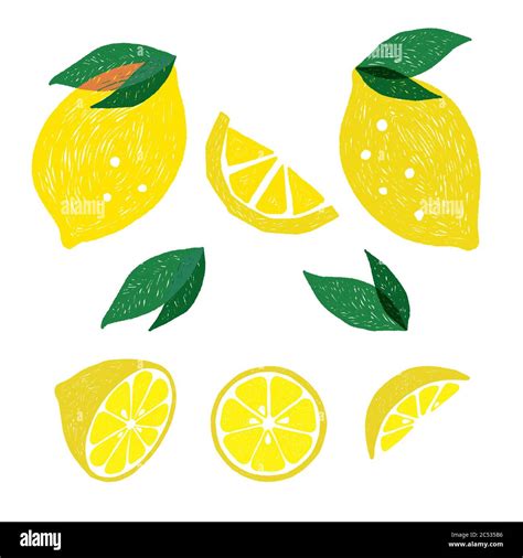 Lemon Drawing