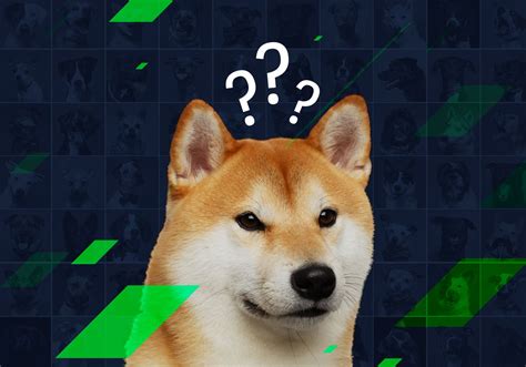 What breed is Doge? | StormGain