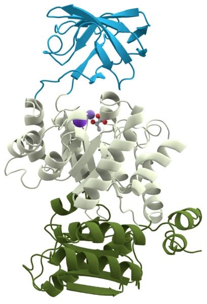 What is the Difference Between Motif and Domain in Protein Structure ...