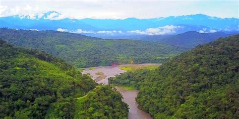 Selva Peruana - Historia, ubicación, relieve, flora y fauna