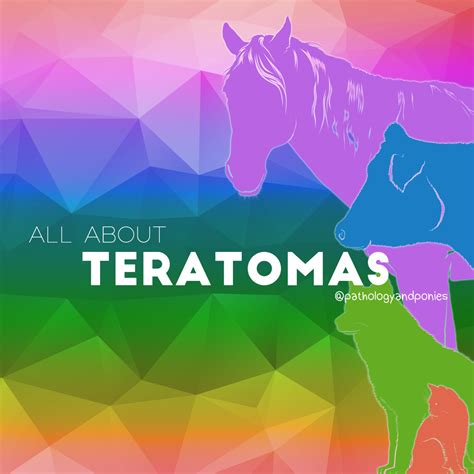 Teratoma - Pathology and Ponies