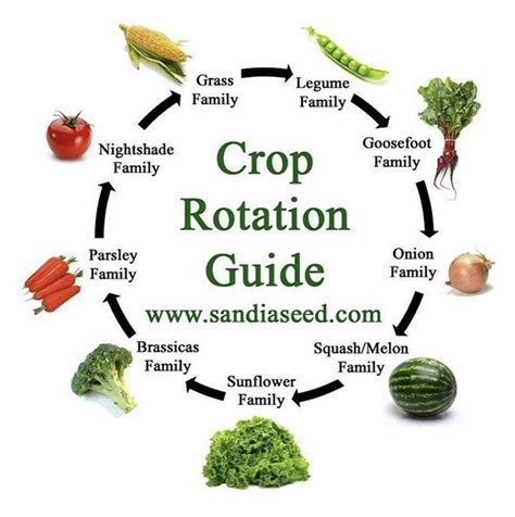 Printable Crop Rotation Chart - Printable World Holiday