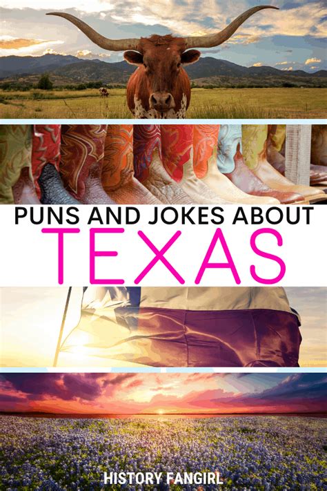 50 Nifty Texas Puns & Jokes for Texas Instagram Captions - History Fangirl