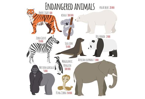 Endangered Animals | Create WebQuest