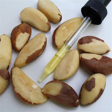 Edible Nuts Wholesale - Lans Grupo