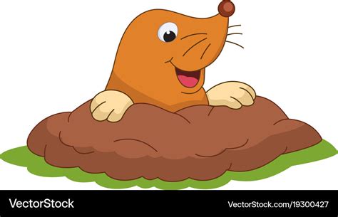 Cartoon mole Royalty Free Vector Image - VectorStock