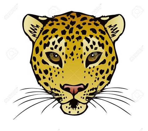 Cheetah clipart face, Cheetah face Transparent FREE for download on ...