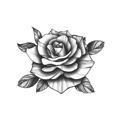 Black Rose – Tattoo Icon