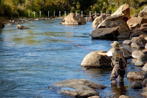 Fly Fishing Basics - A Complete Guide for Beginners