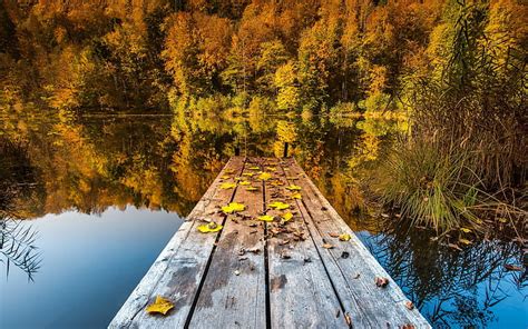 HD wallpaper: Autumn lake, woods and deciduous | Wallpaper Flare