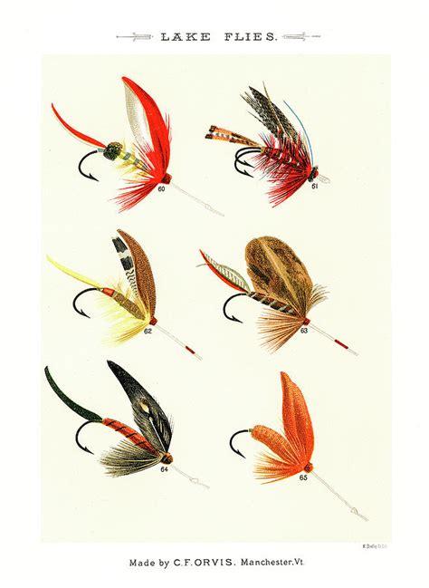 √ Fly Fishing Lures - Popular Century