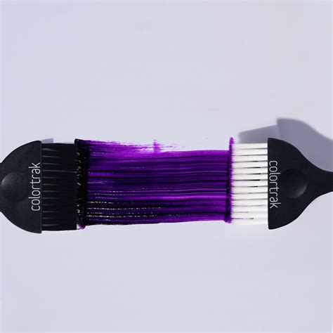 Colortrak glitter brushes 2 pack – Artofit