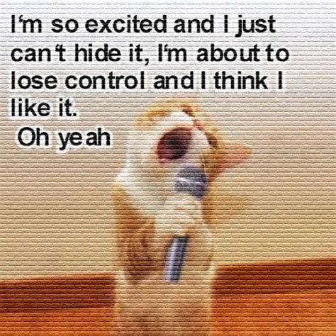 Funny Cat: I’m So Excited and I Just Can’t Hide It