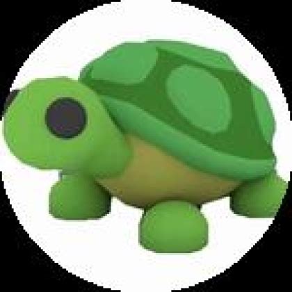 adopt me turtle - Roblox