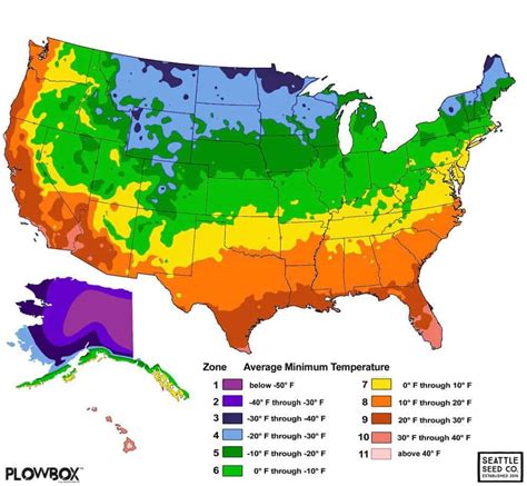 Hardiness Zones and Succulents | Sublime Succulents