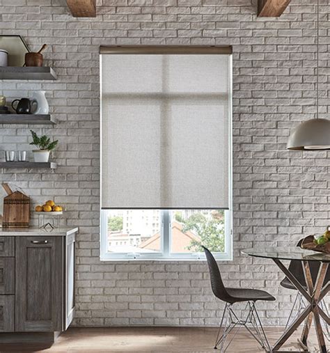 Blindsgalore Envision Motorized Roller Shades | Blindsgalore