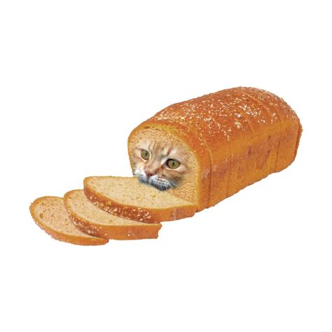 ArtStation Bread Cat, 55% OFF