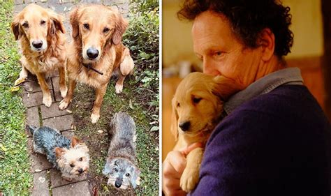 Monty Don heartbroken as beloved dog Nell dies following cancer battle ...