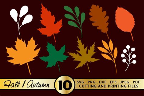 Fall SVG Bundle Fall Leaves SVG PNG EPS DXF Autumn Bundle (807799 ...