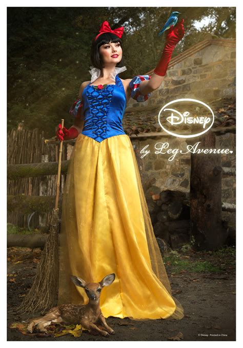 Womens Disney Princess Snow White Costume - Halloween Costume Ideas 2023