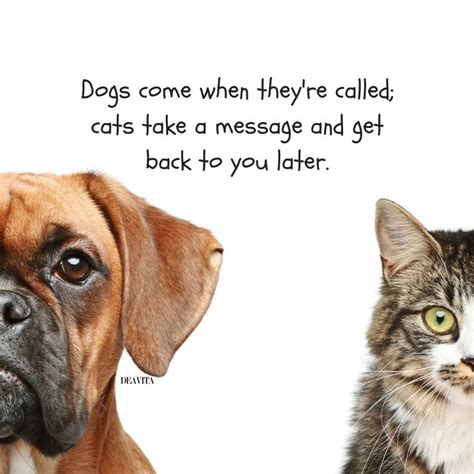 Funny Cat Vs Dog Quotes - MCgill Ville