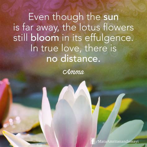 1000+ images about Amma Quotes on Pinterest | U welcome, Nature and ...