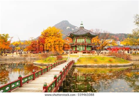 Gyeongbokgung Palace Autumn Stock Photo 559461088 | Shutterstock