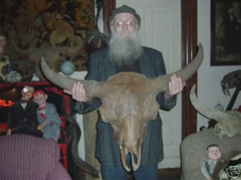 EXTINCT ICE AGE BISON SKULL - HUGE BULL - MN BOG FOSSIL | #20236991