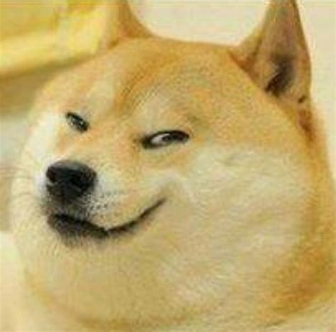 76 Shiba Inu Cheems Dog Meme Face