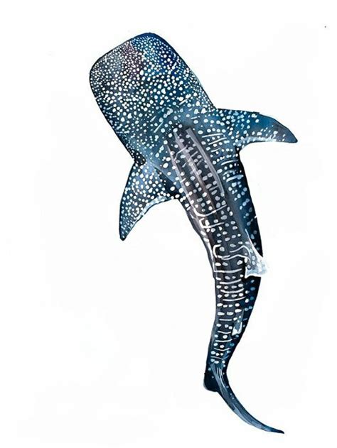 Whale Shark Tattoo Ideas