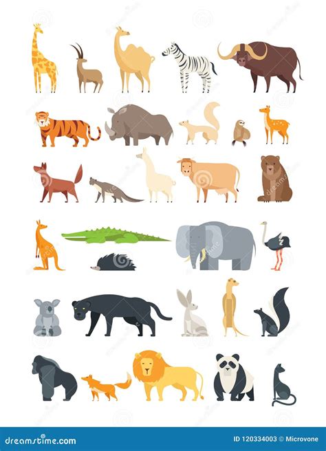 Flat African, Jungle and Forest Animals. Cute Mammals and Reptiles ...