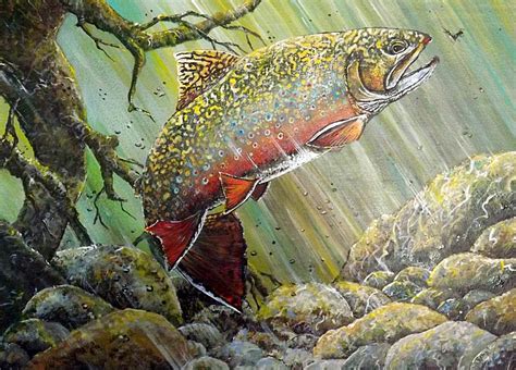 Brook Trout Painting by D Michael Meinders - Pixels