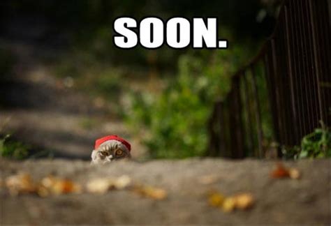 Funny "Soon" Meme - 38 Pics