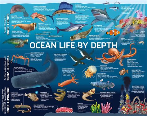 Depth Of Ocean Chart