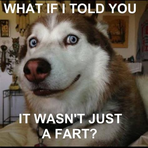 85 Funnniest Fart Meme - Meme Central