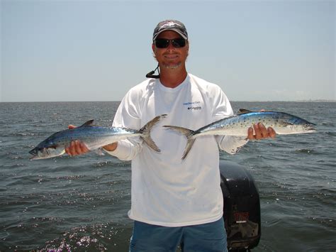 Late Summer Spanish Mackerel Fishing Tips - PointClickFish.com