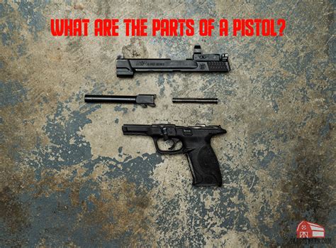 Parts of a Pistol - Explained + Diagram TargetBarn.com