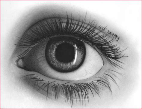 Realistic Eye Pencil Drawing at PaintingValley.com | Explore collection ...