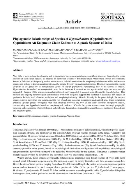 (PDF) Phylogenetic Relationships of Species of Hypselobarbus ...