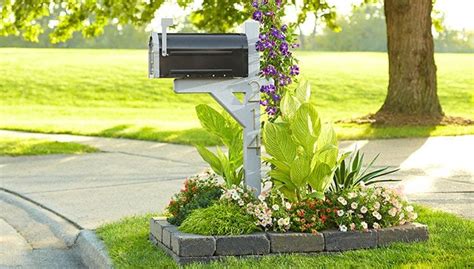 Mailbox Planting Ideas