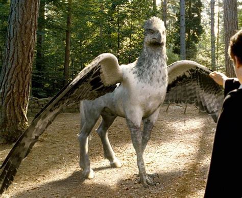 Top 10 Animals in Harry Potter 🐉 - List of Harry Potter Creatures