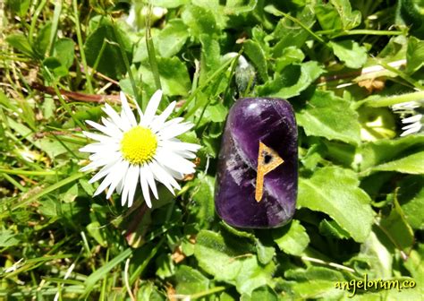 Wunjo Rune Meanings ⋆ Angelorum Tarot