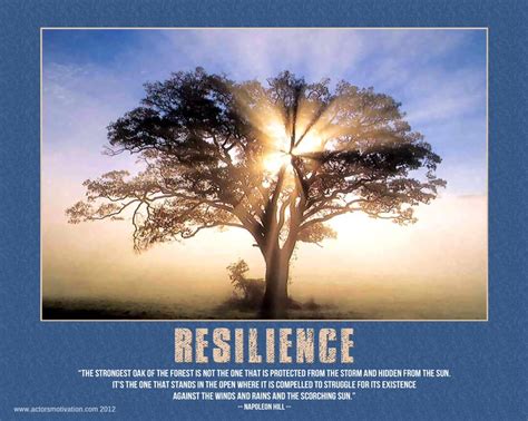 Resilience Quotes. QuotesGram