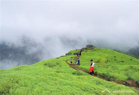 Rajmachi Fort Trek | Treks and Trails India