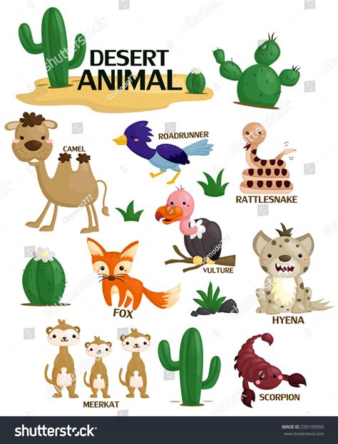 Desert Plants And Animals Clip Art