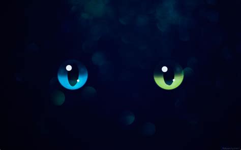 Wallpaper Cat Eyes by Erian-7 on DeviantArt