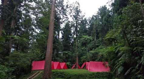 Tempat Camping di Sukabumi, 7 terpopuler!